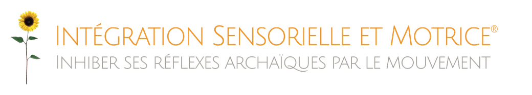 référence en rédaction de newsletter : ism
